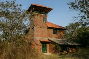 CFL-4